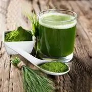 BARLEY GRASS 180 x 180 01
