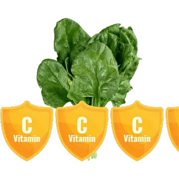 Sante Barley International Barley Barley Grass has 3.3x as much Vitamin C in Spinach