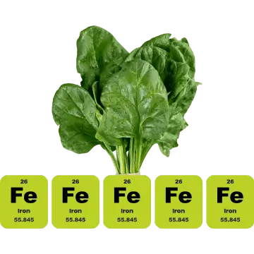 Sante Barley International Barley Barley Grass has nearly 5x the Iron in Spinach
