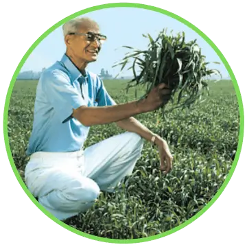Sante Barley International Dr. Yoshihide Hagiwara 01