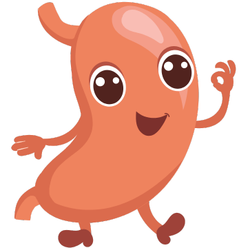 Sante Barley International Gastrointestinal Conditions