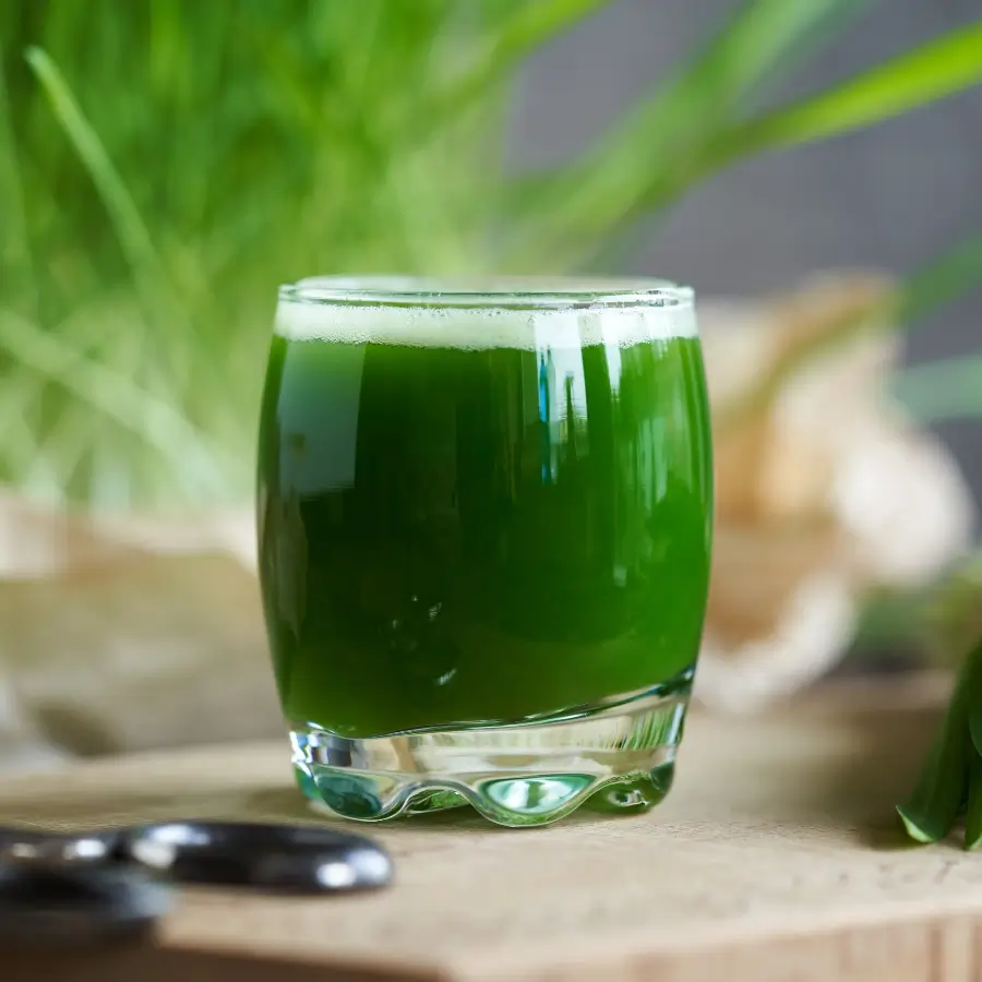 Sante Barley International - Health Benefits of Barley Grass 900 x 900 - WEBP