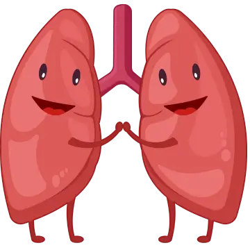 Sante Barley International Respiratory System