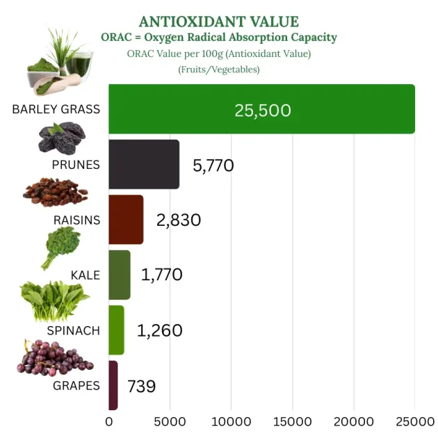 Sante Barley International ANTIOXIDANT VALUE 001 900 x 900 - WEBP