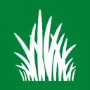 SDFA SDFA