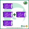 Moments Anion Night Pad with Far Infrared Buy 3 Get 1 FREE promotional package designed for comfortable overnight protection.