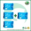 Moments Anion Sanitary Napkin with Far Infrared Buy 3 Get 1 FREE promotional package designed for comfortable daily menstrual protection.