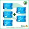Moments Anion Sanitary Napkin with Far Infrared Buy 3 Get 2 FREE promotional package featuring comfortable daily menstrual protection.